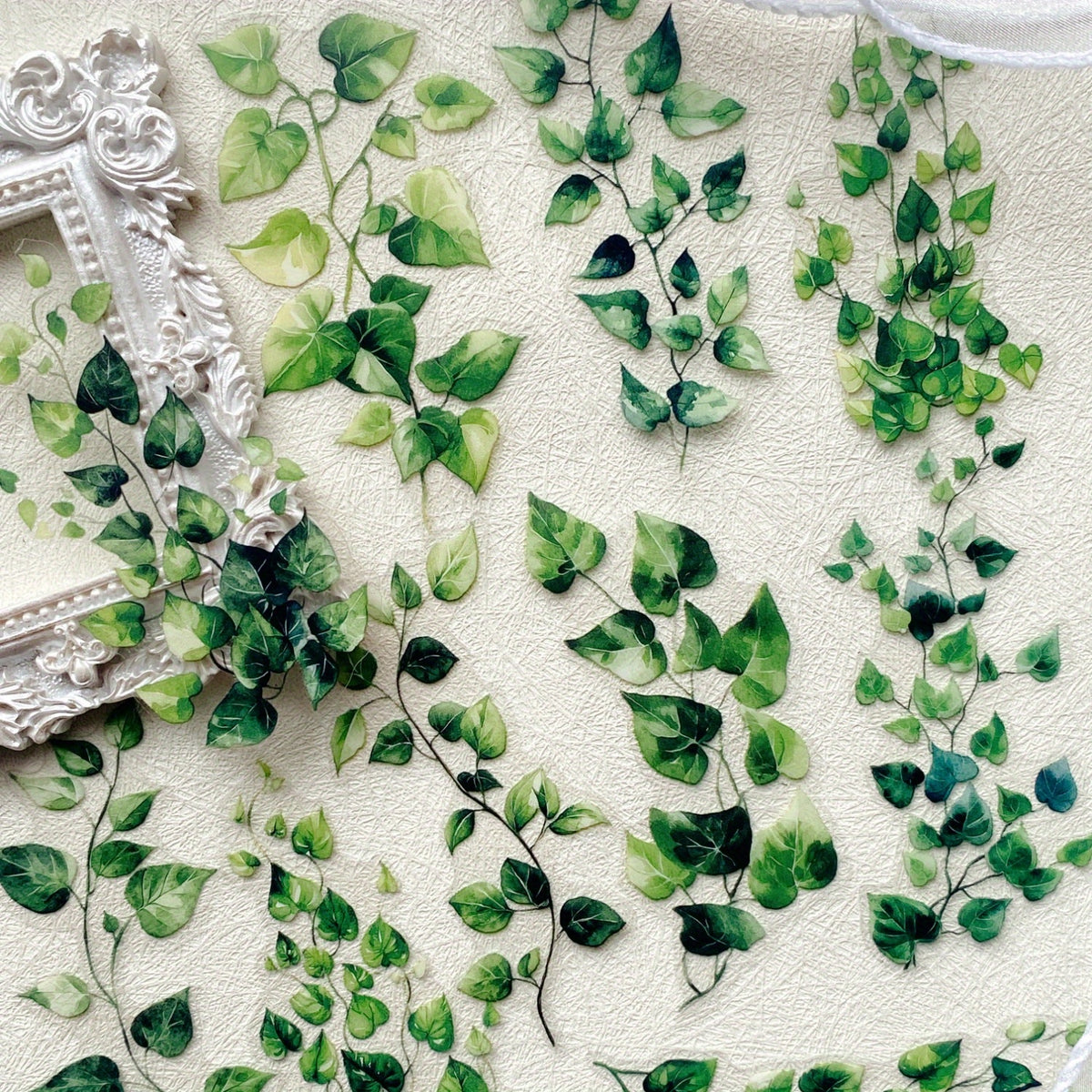 20 szt, Zestaw naklejek do scrapbookingu Pnącza bluszczu