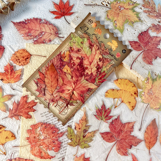 40 szt, Zestaw naklejek do scrapbookingu Jesienne liście klonu